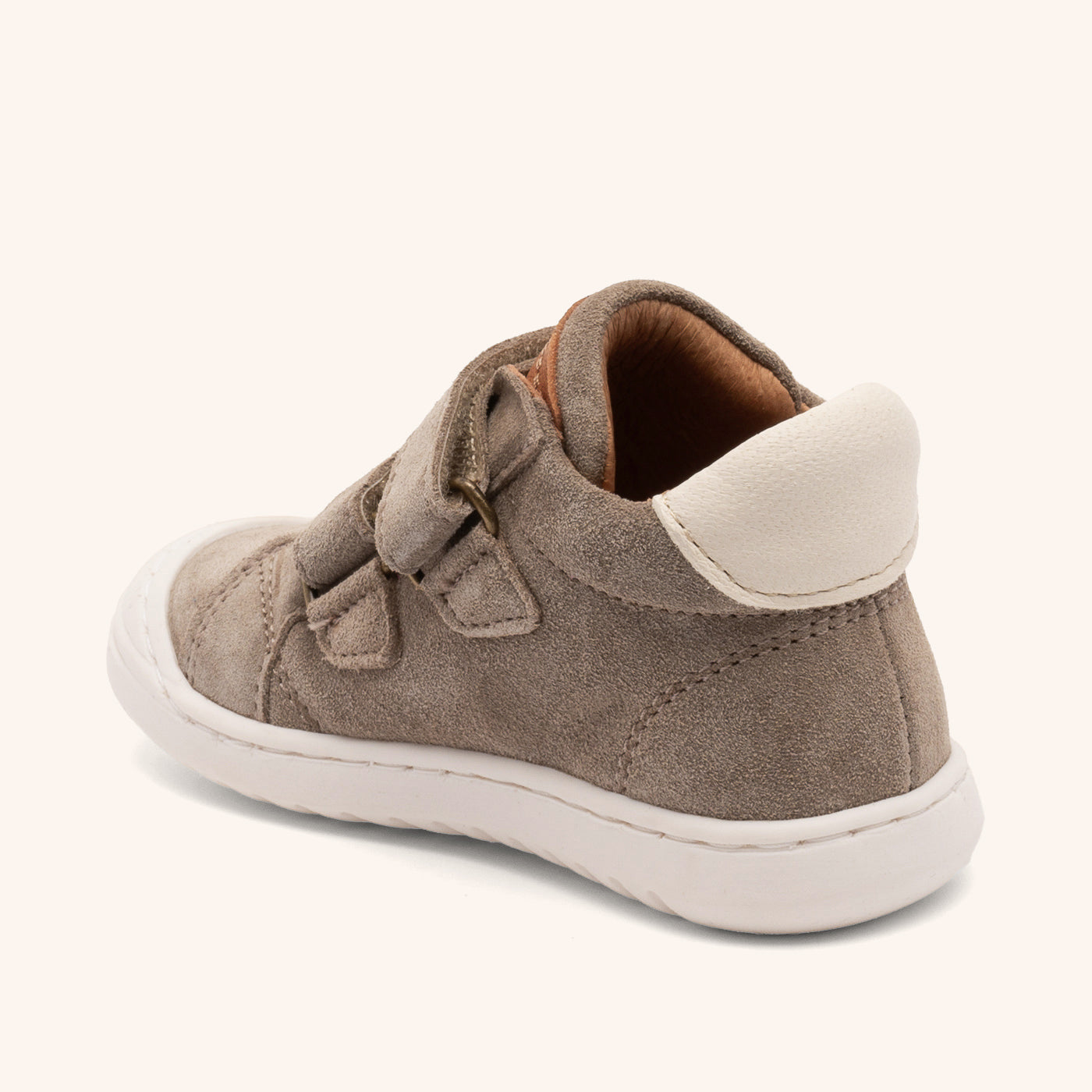 bisgaard thor v elephant