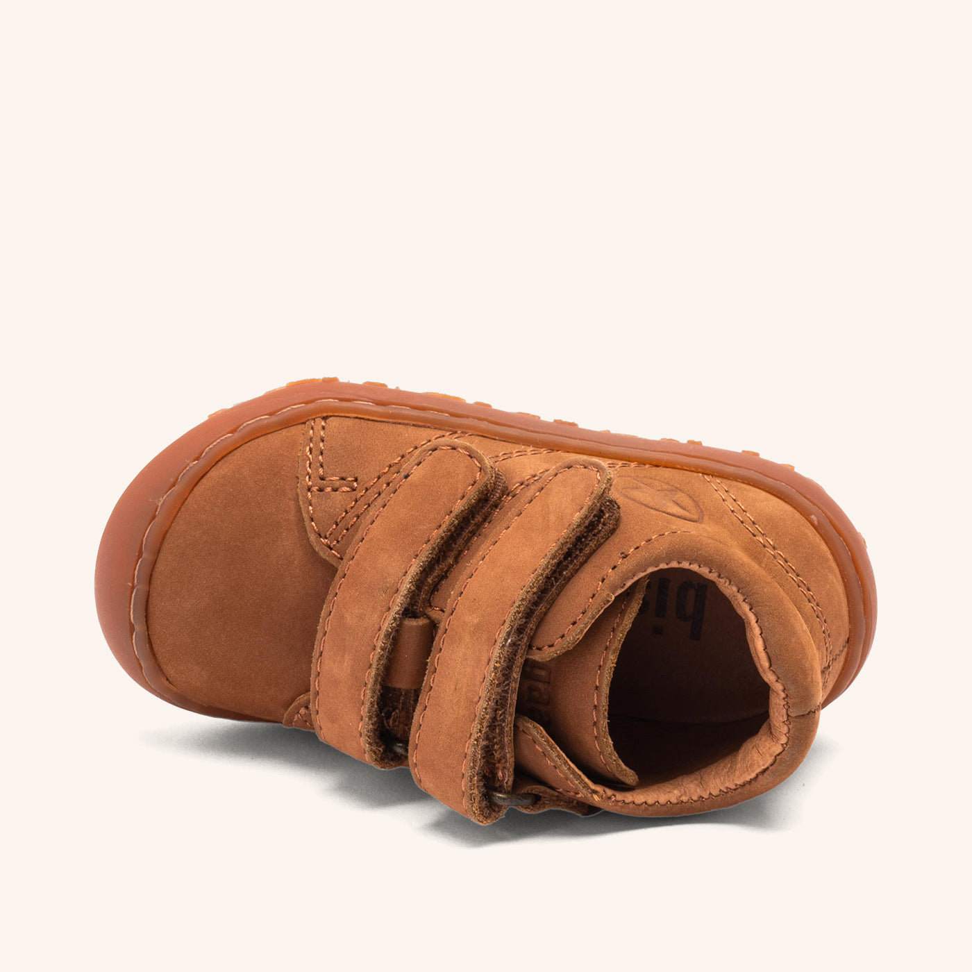 bisgaard barefoot hale v camel