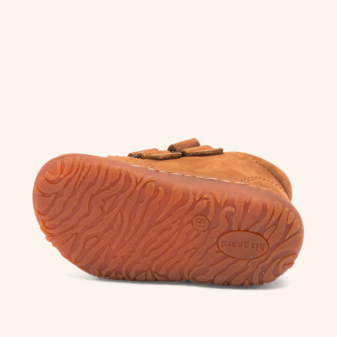 bisgaard barefoot hale v camel