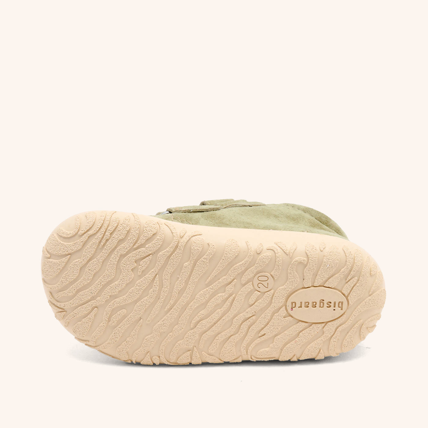 bisgaard hale v sage