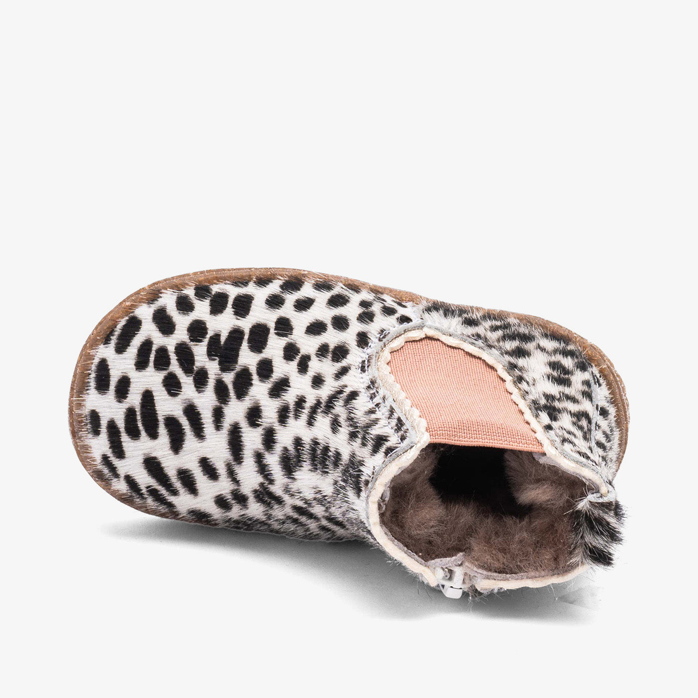 bisgaard siggi lamb dots fur