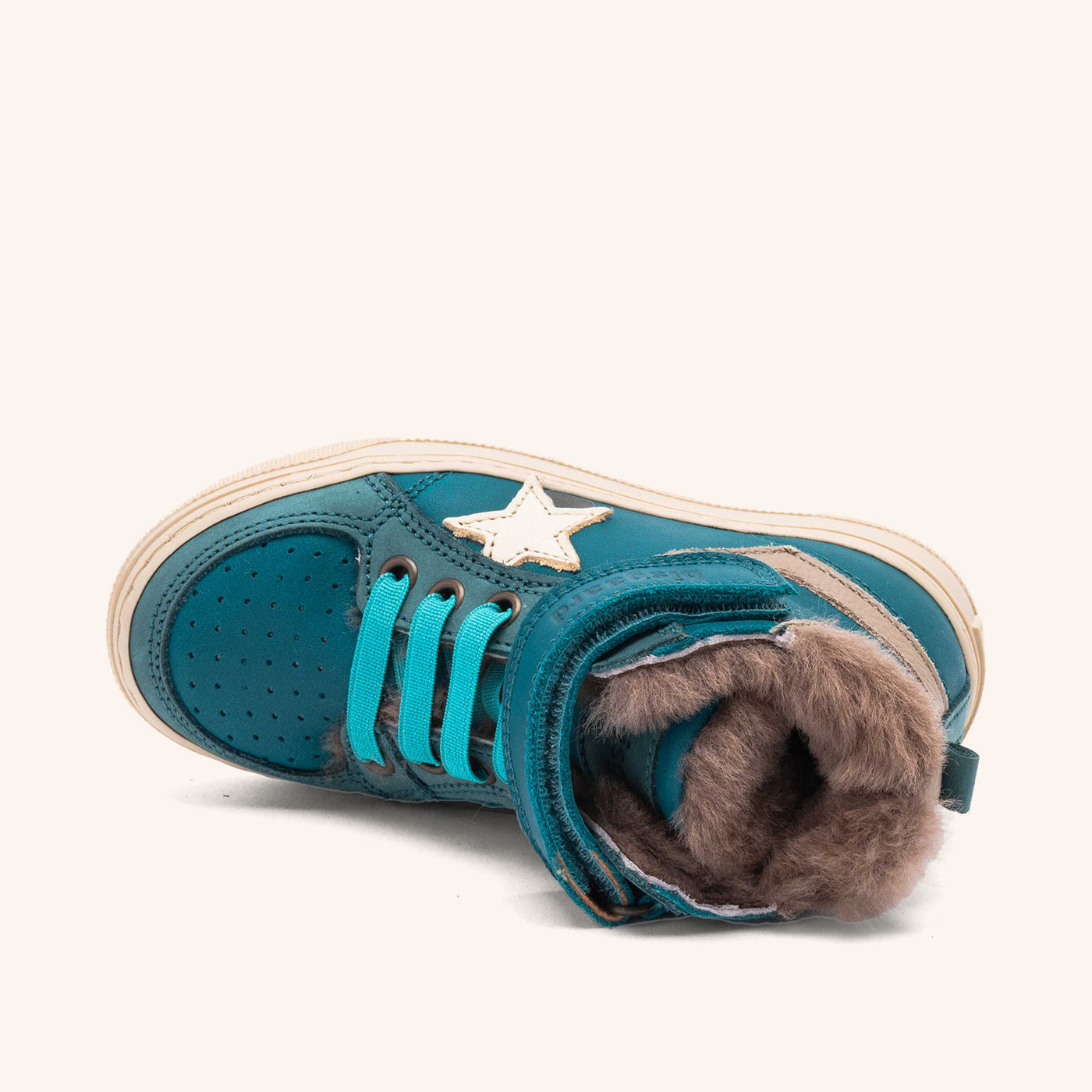 bisgaard isak lamb petrolio