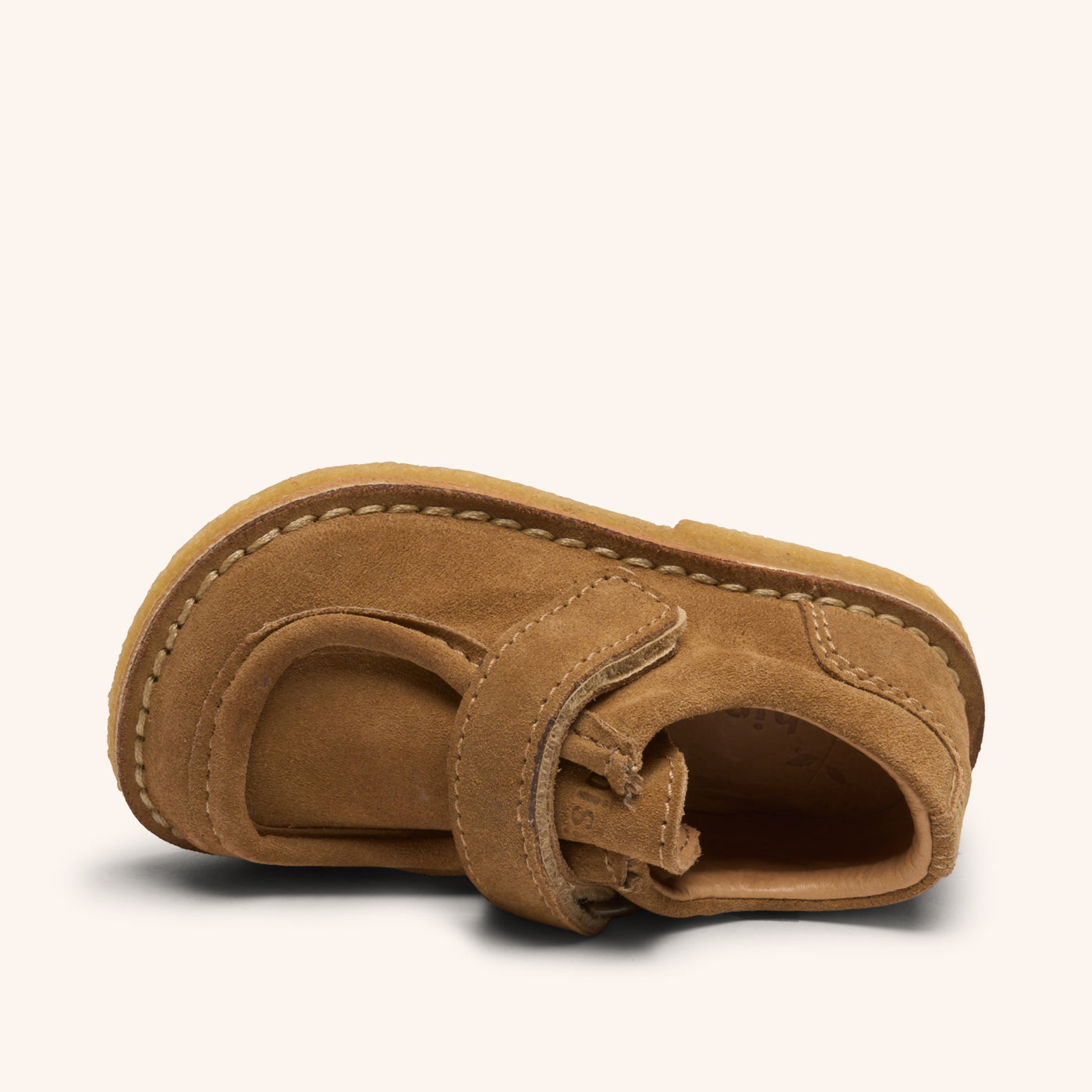 bisgaard holden v brandy