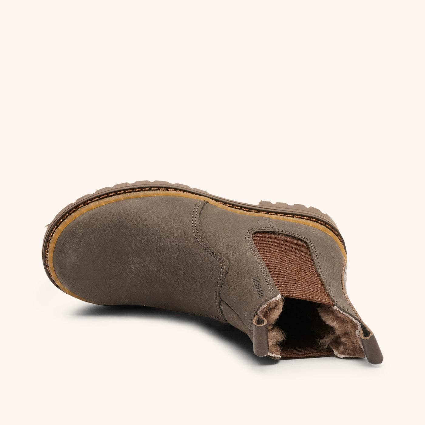 bisgaard neo lamb hippo