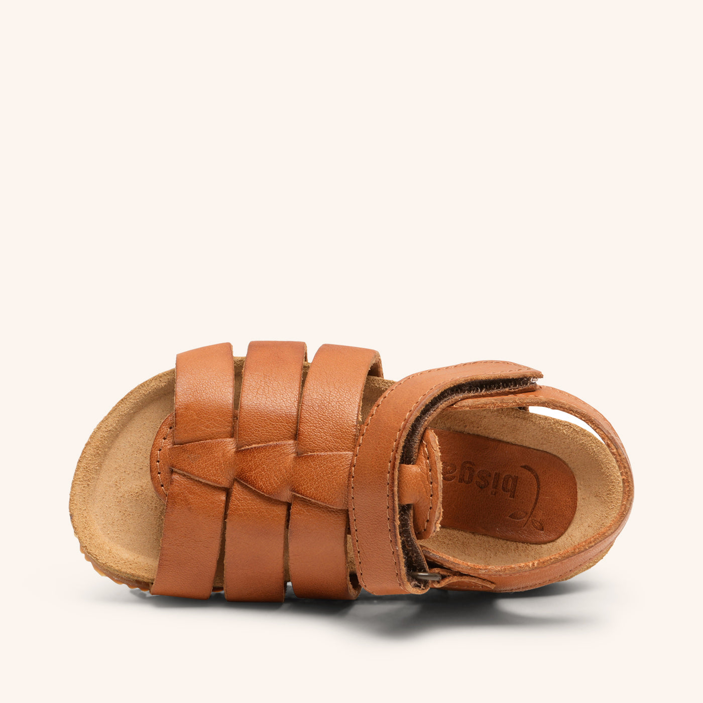 bisgaard aksel cognac