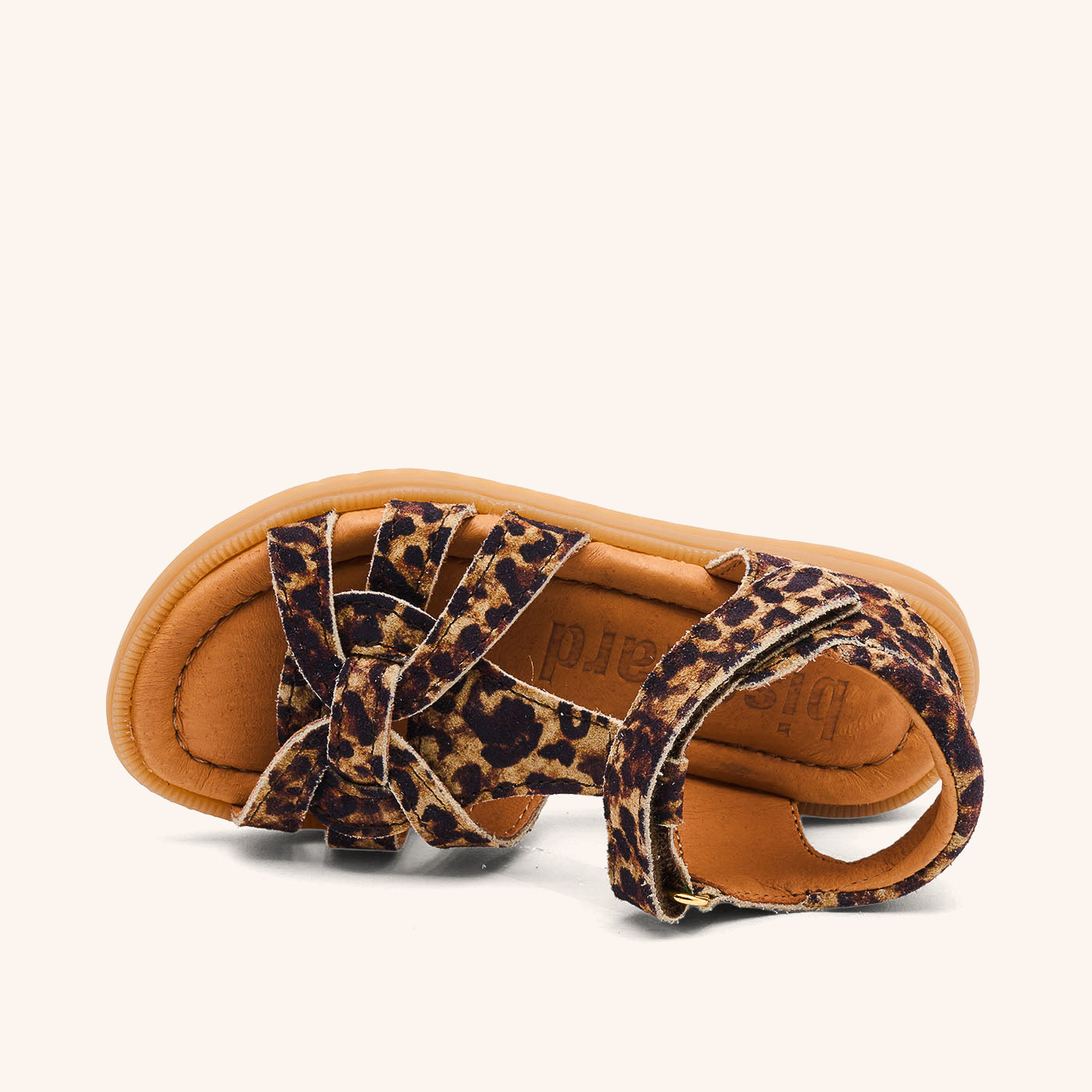 bisgaard felicia leopard