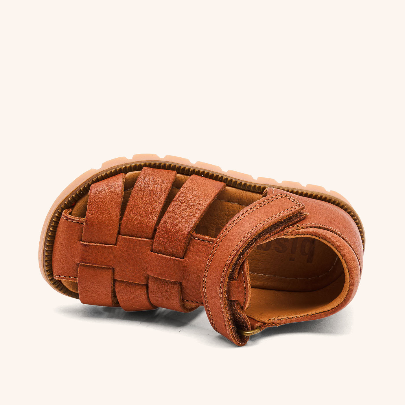 bisgaard beka cognac