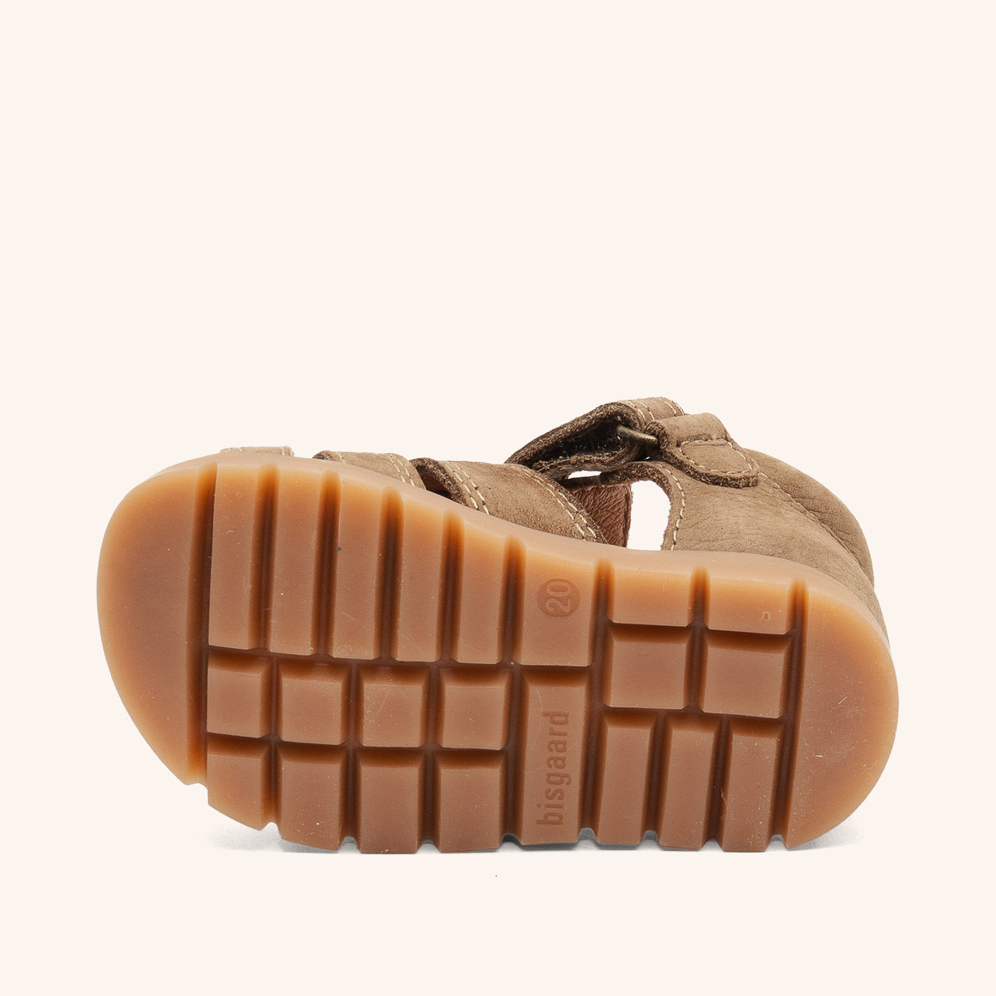 bisgaard frans earth