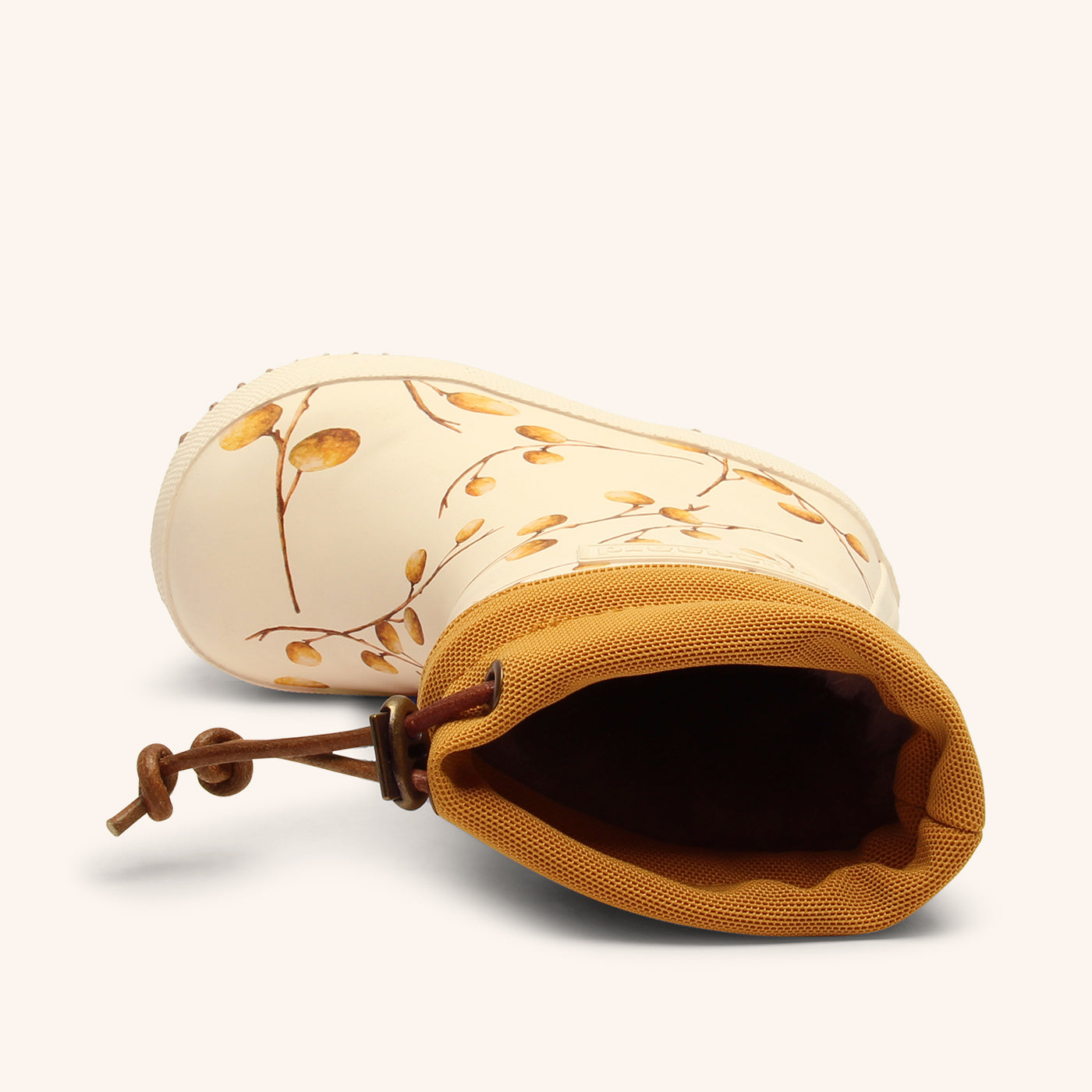 bisgaard thermo longan fruit