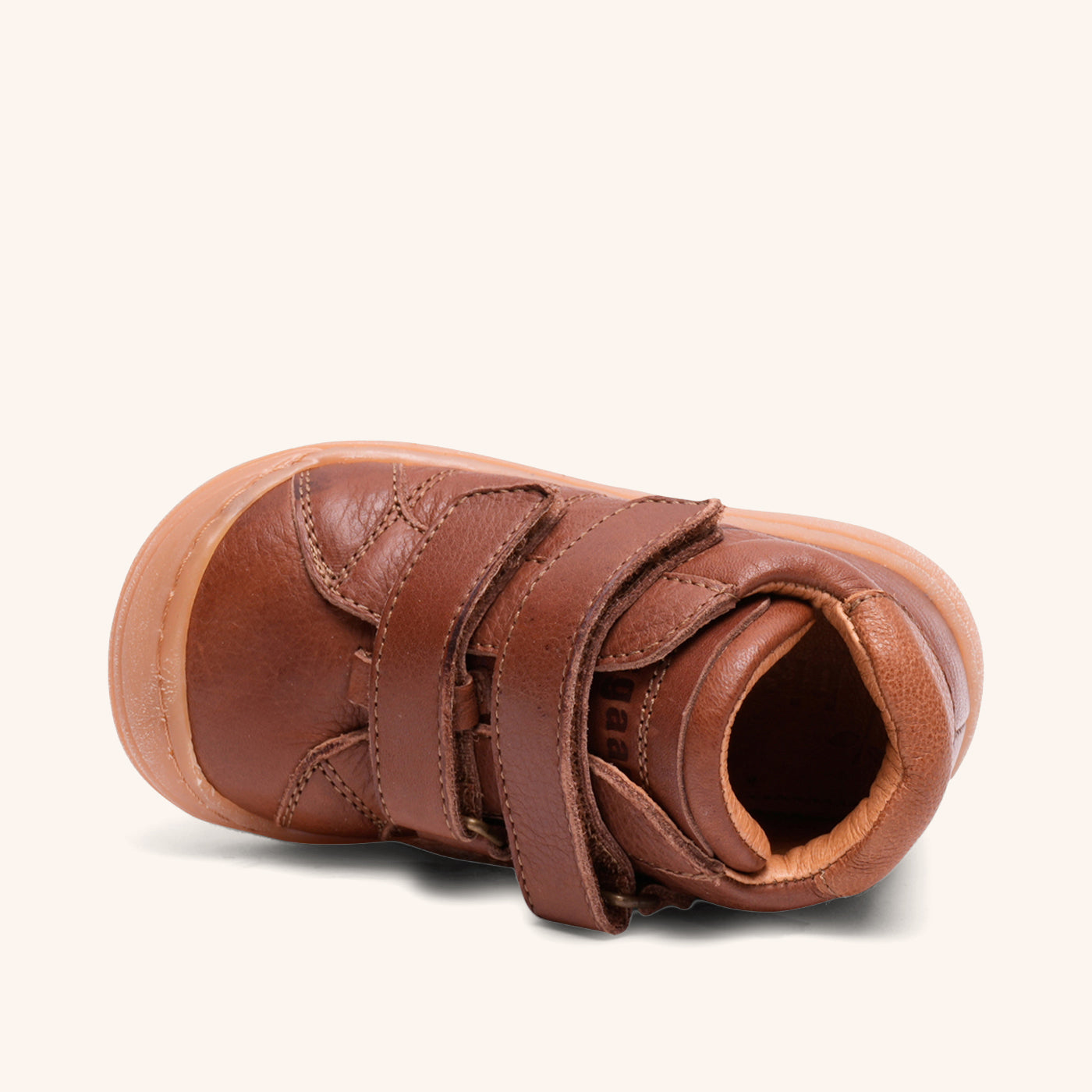 bisgaard thor v brandy