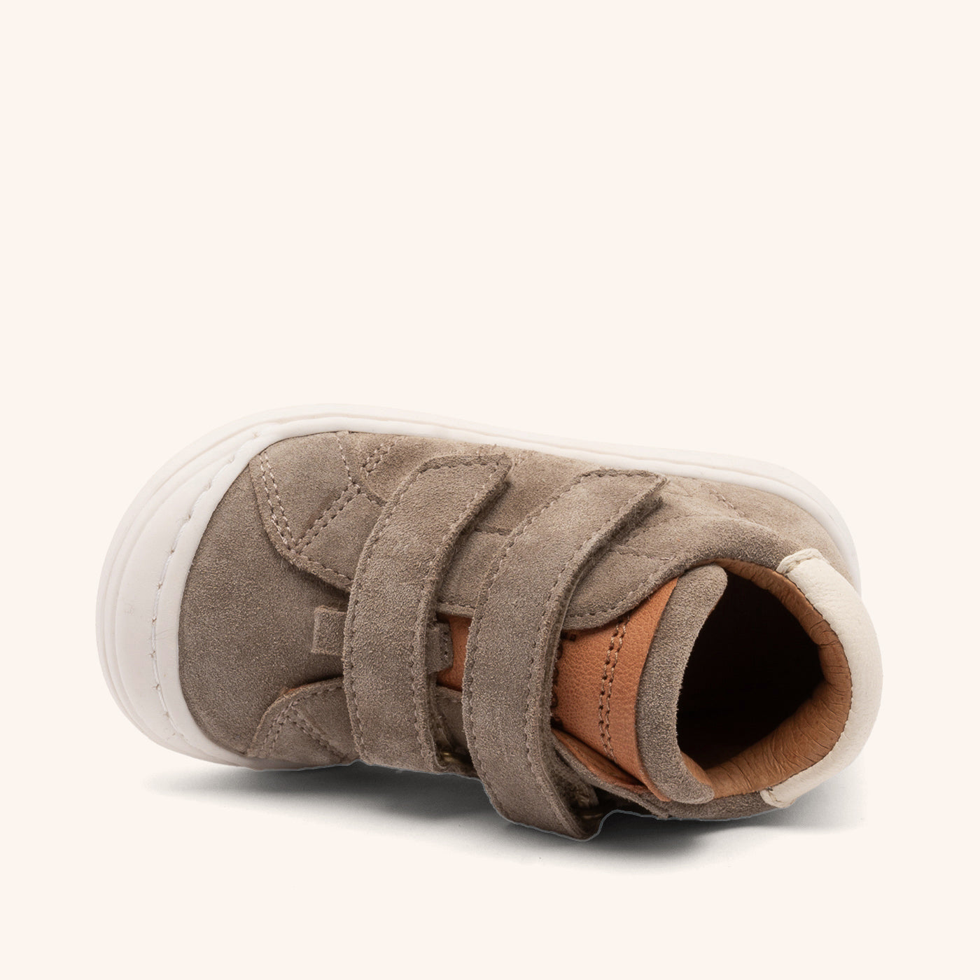 bisgaard thor v elephant