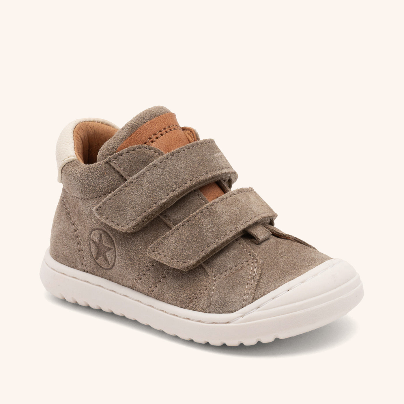 bisgaard thor v elephant