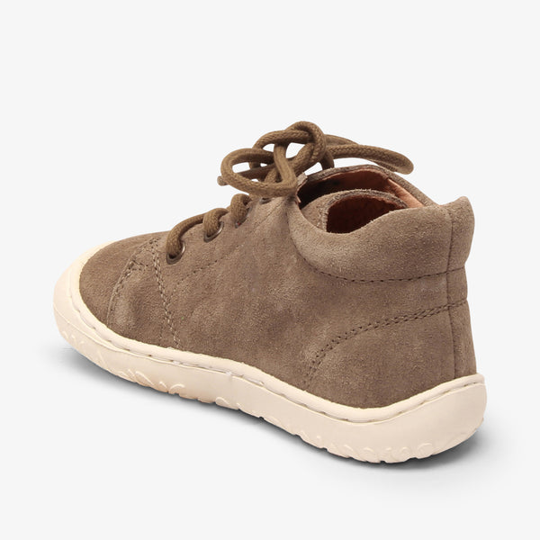 bisgaard heva mushroom