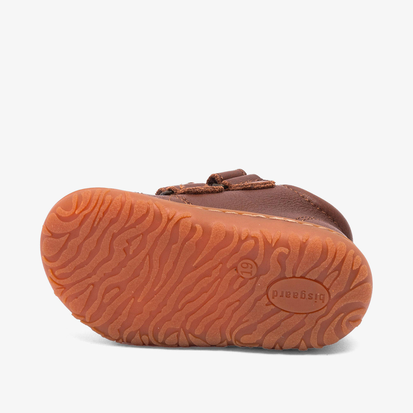 bisgaard barefoot hale v brandy