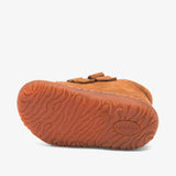 bisgaard barefoot hale v camel