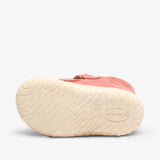 bisgaard barefoot hale v berry