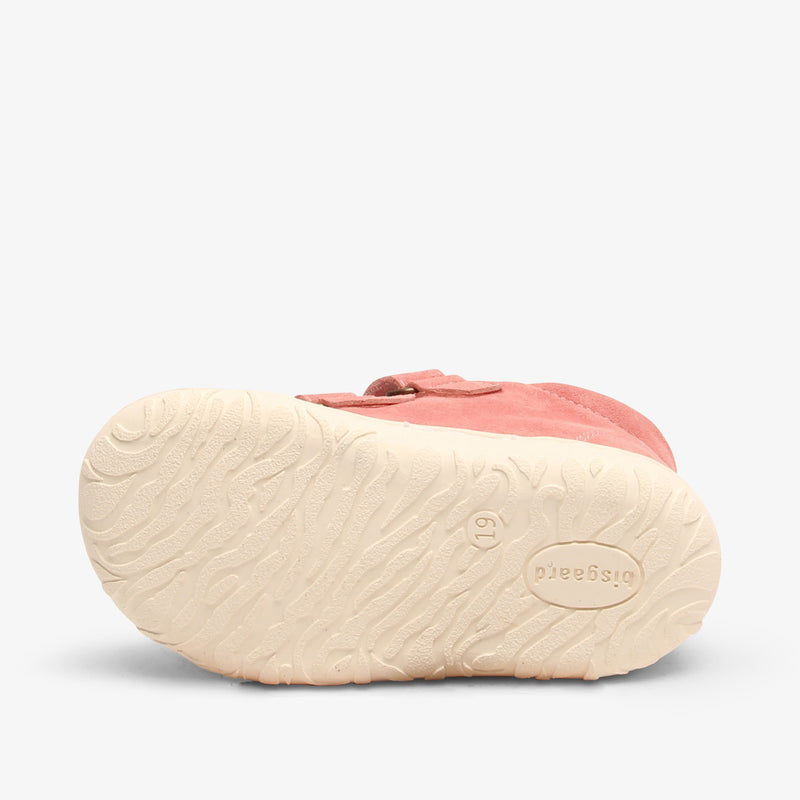 bisgaard barefoot hale v berry