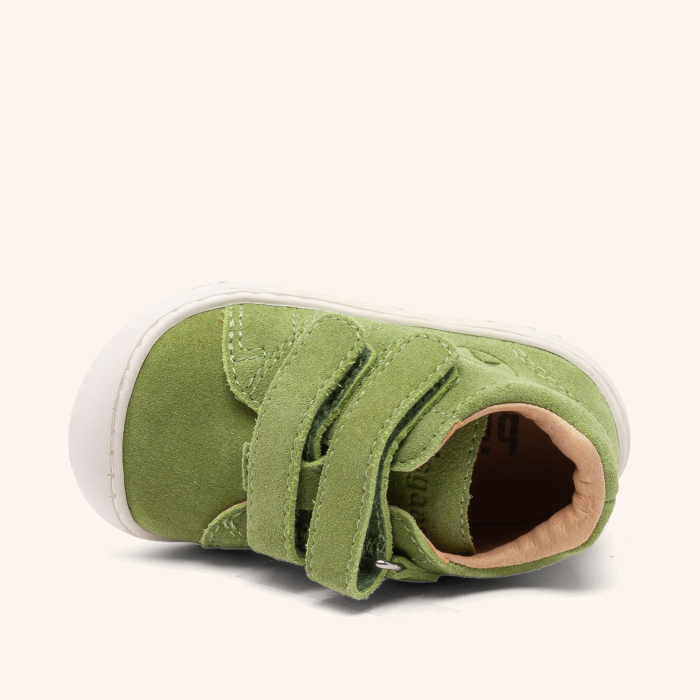 bisgaard hale v pear