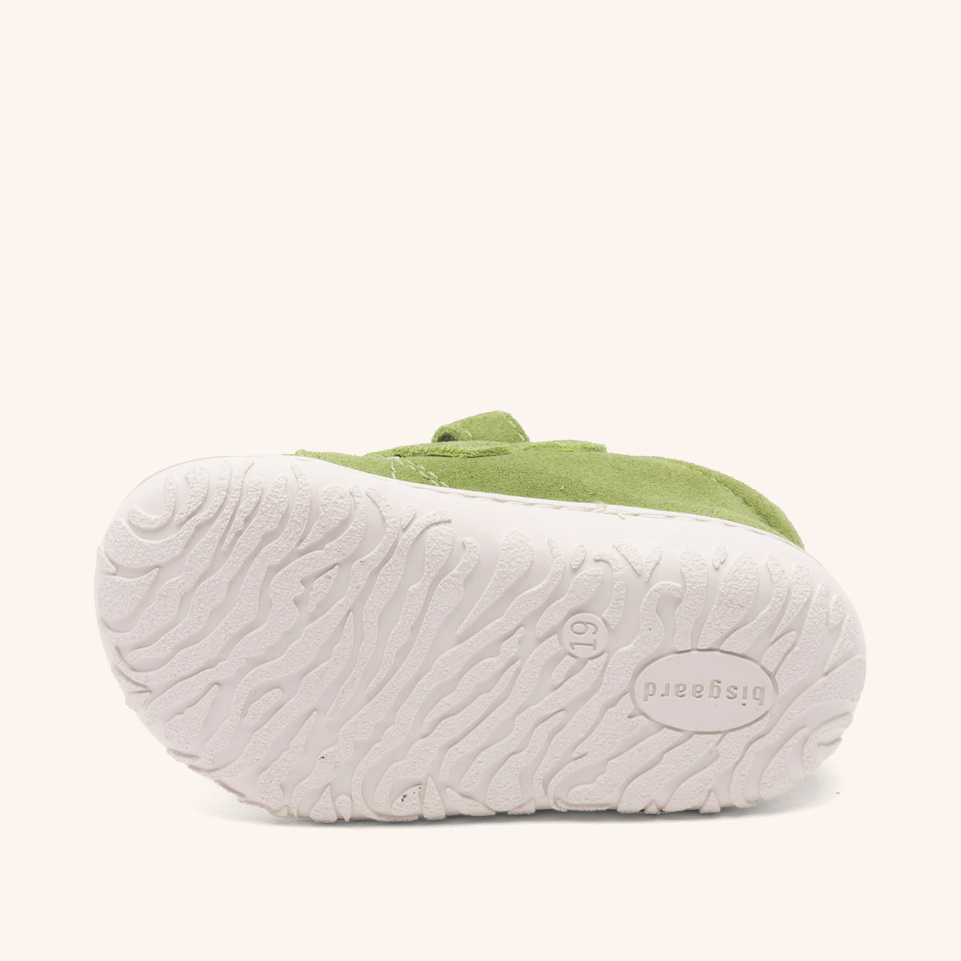 bisgaard hale v pear