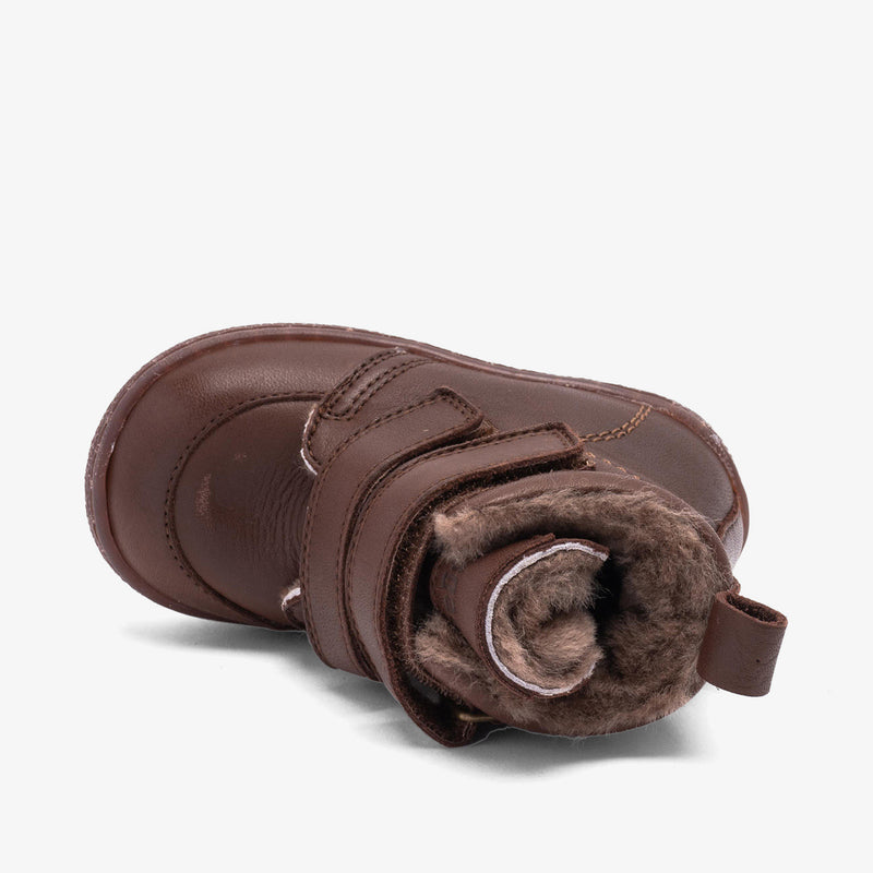 bisgaard storm lamb coffee