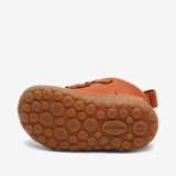 bisgaard gerle cognac
