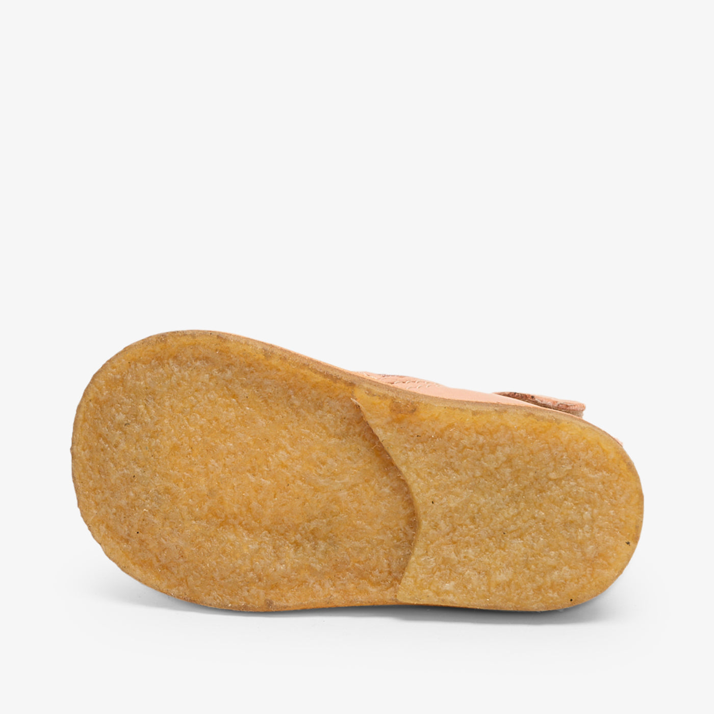 bisgaard sus nude