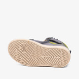 bisgaard isak grey