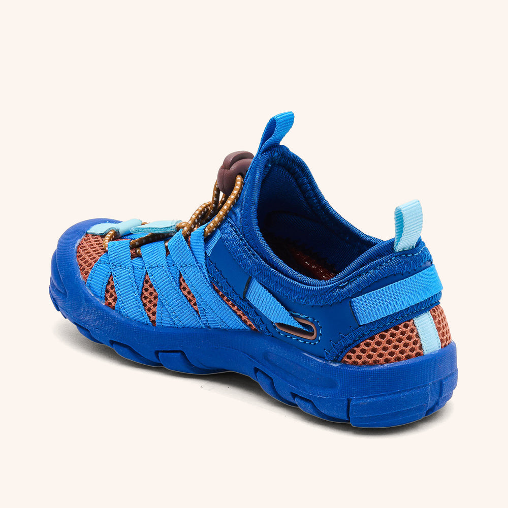 bisgaard zion cobalt