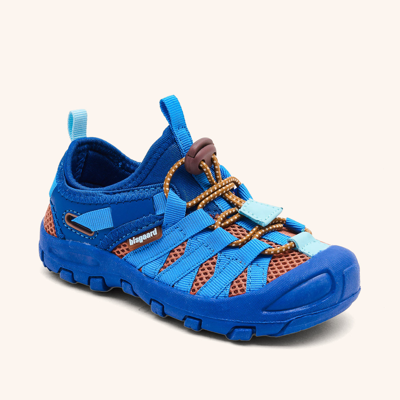 bisgaard zion cobalt