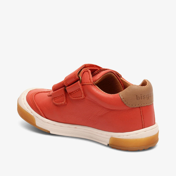 bisgaard johan coral