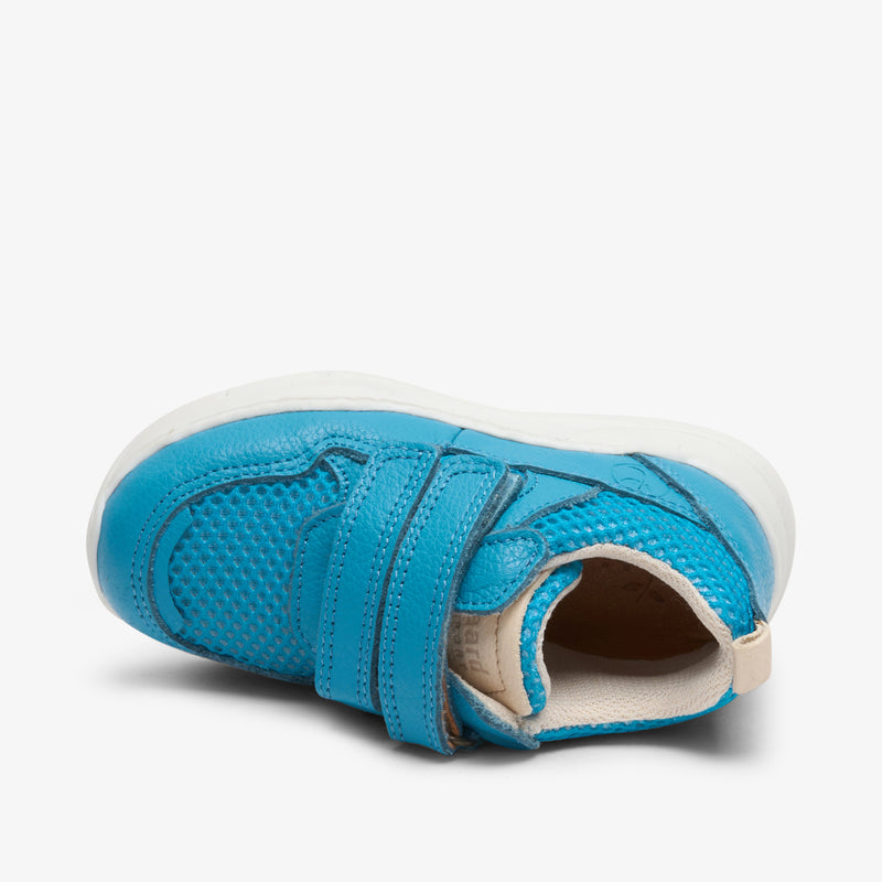 bisgaard pan v forrest