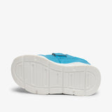 bisgaard pan v forrest