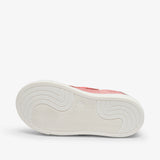 bisgaard joshua blush
