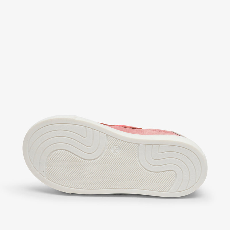 bisgaard joshua blush