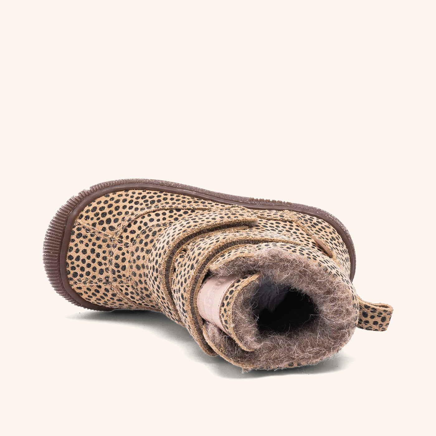 bisgaard ellis tex black dots