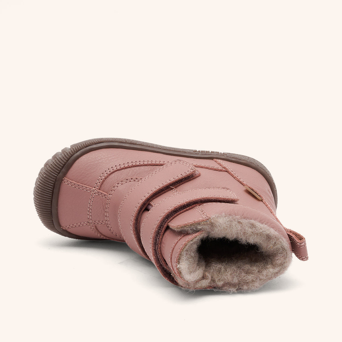 bisgaard ellis tex rose