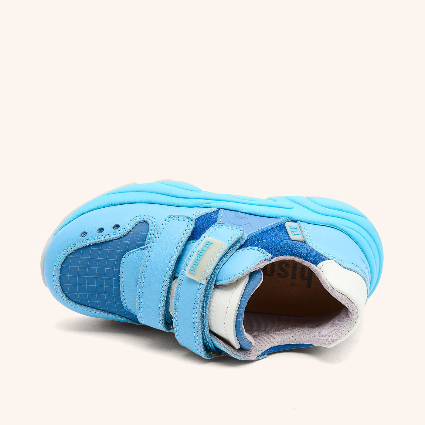 bisgaard herle tex sky