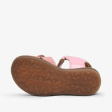 bisgaard agnes o salmon