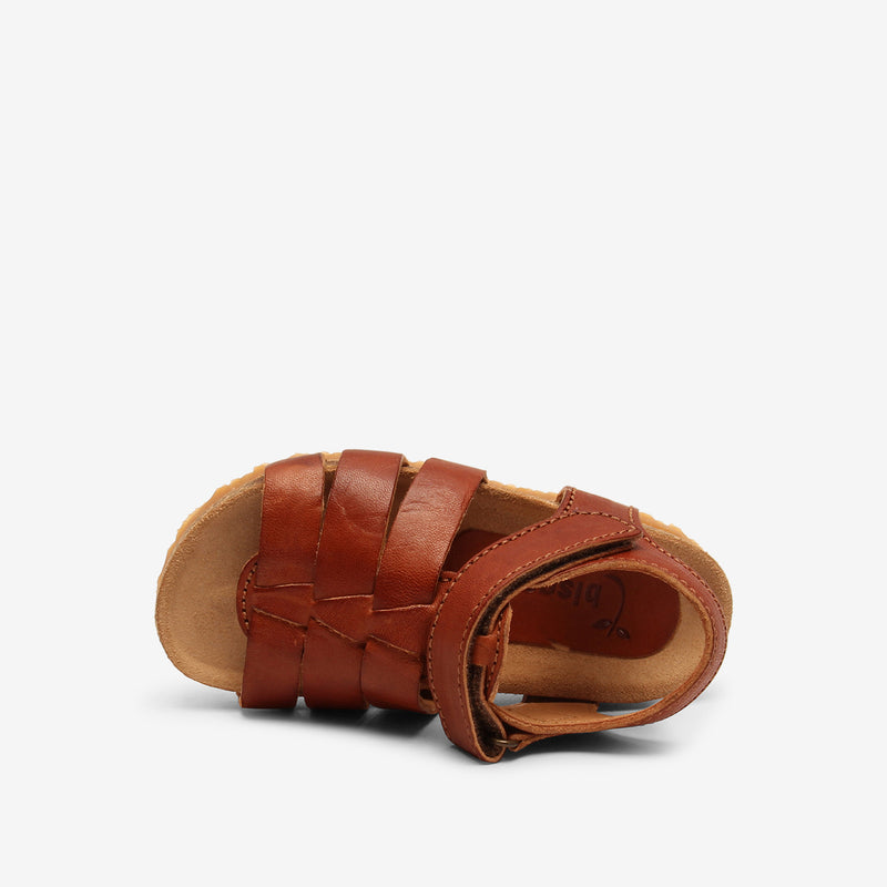 bisgaard aksel cognac