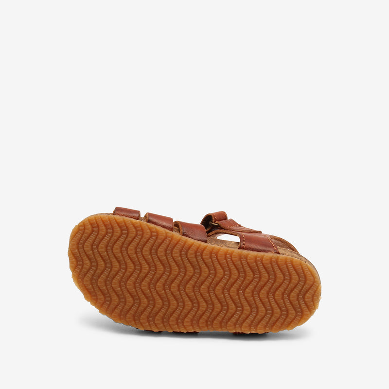 bisgaard aksel cognac