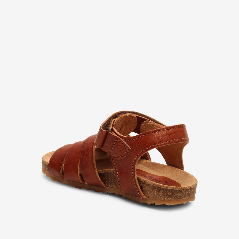 bisgaard aksel cognac