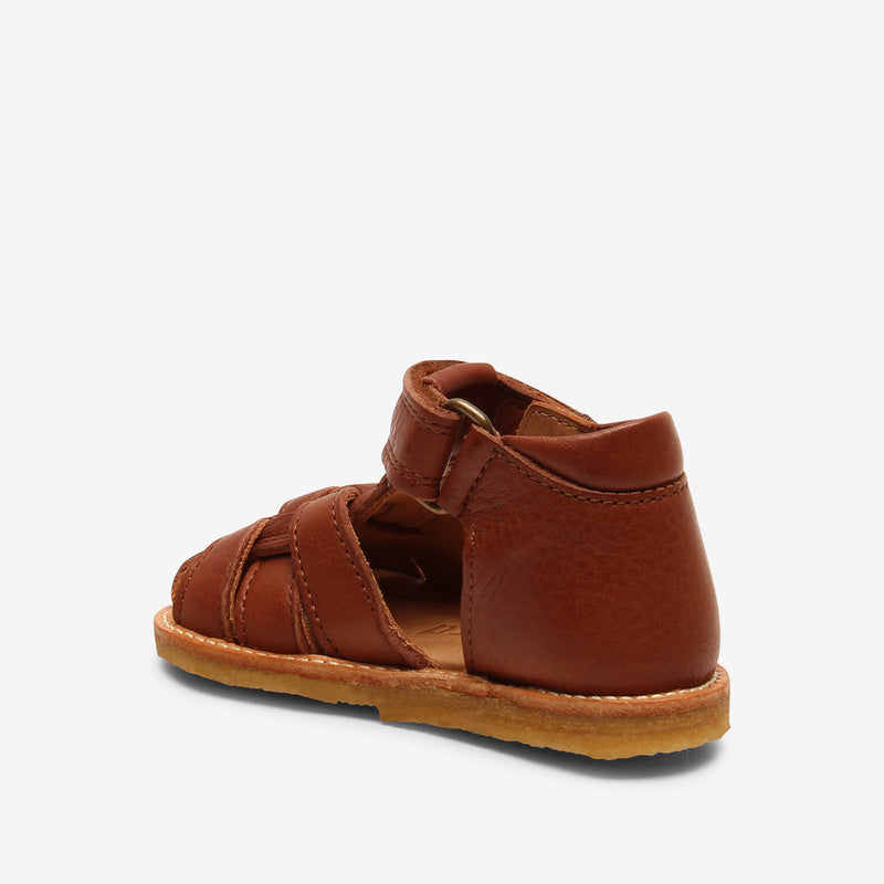 bisgaard ami cognac