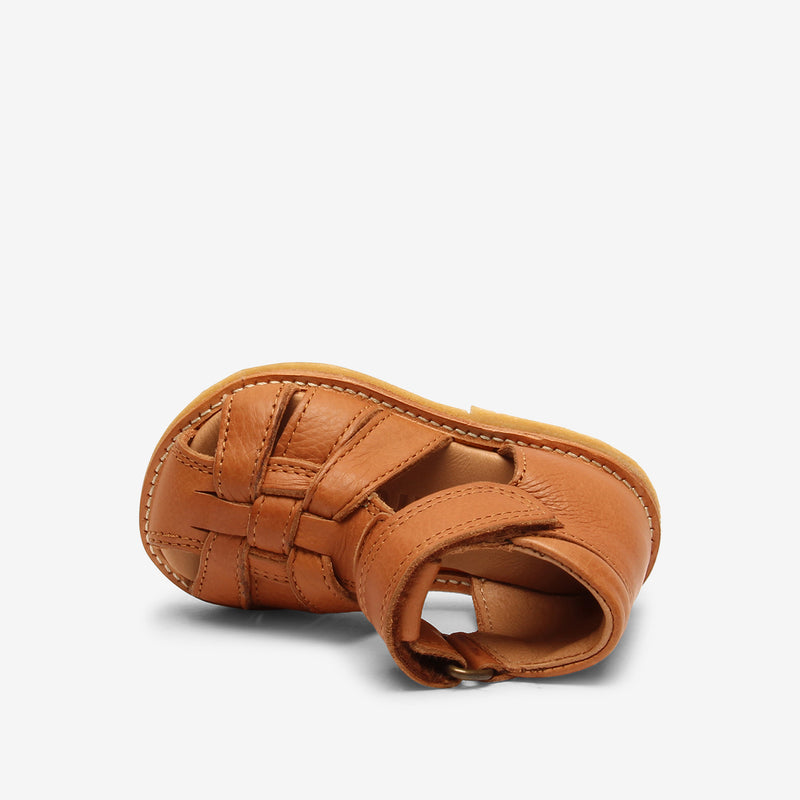 bisgaard ami brandy