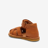 bisgaard ami brandy