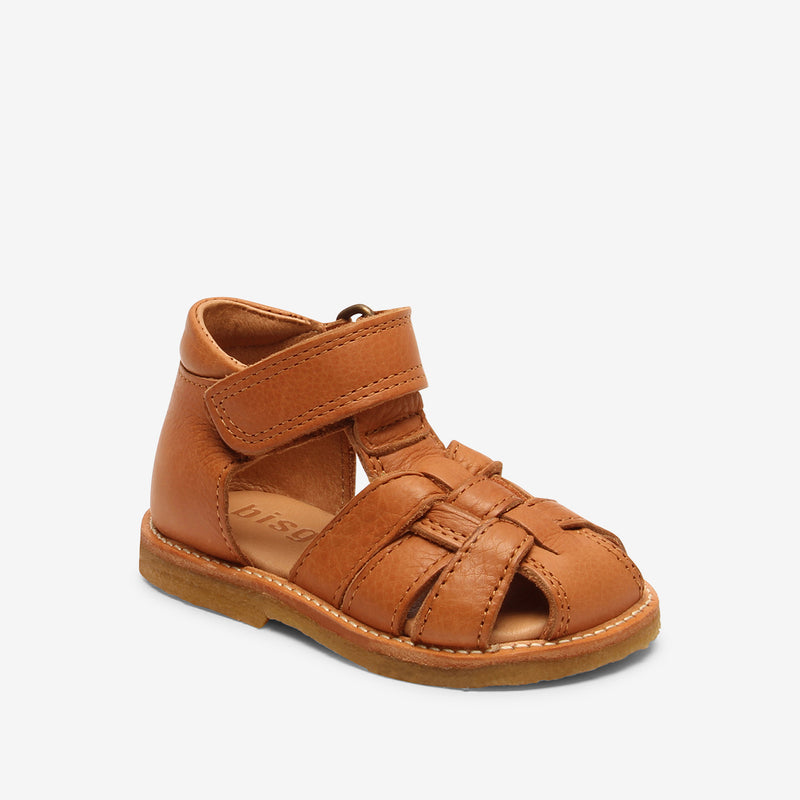 bisgaard ami brandy