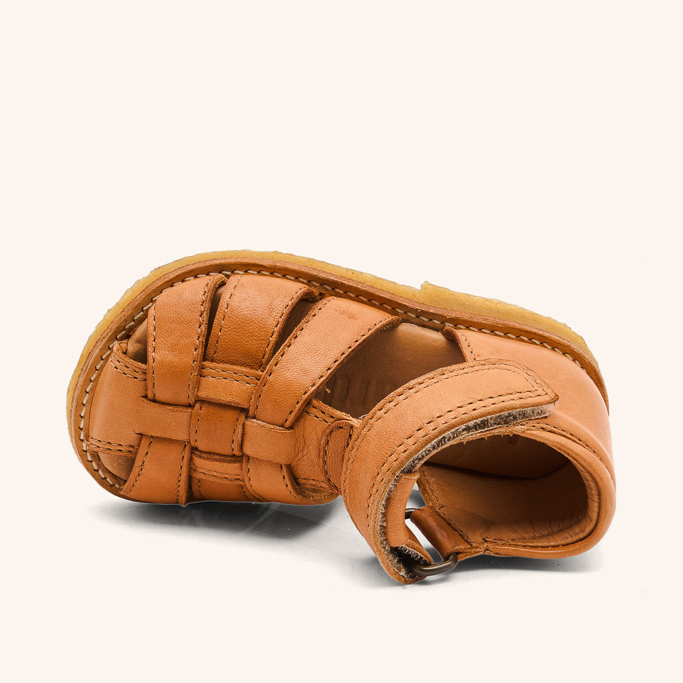 bisgaard ami cognac