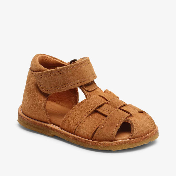 bisgaard ami camel