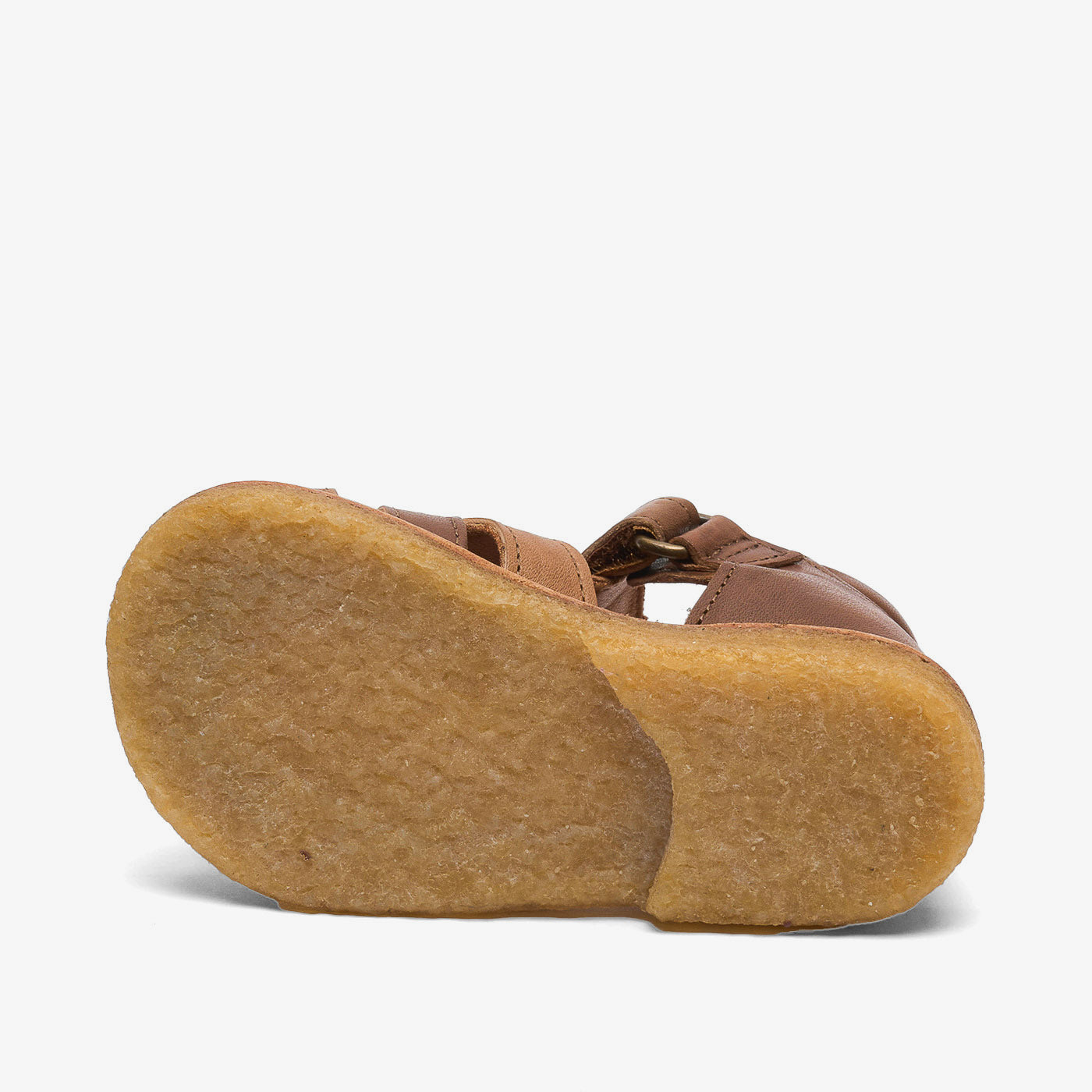 bisgaard bjørn brown