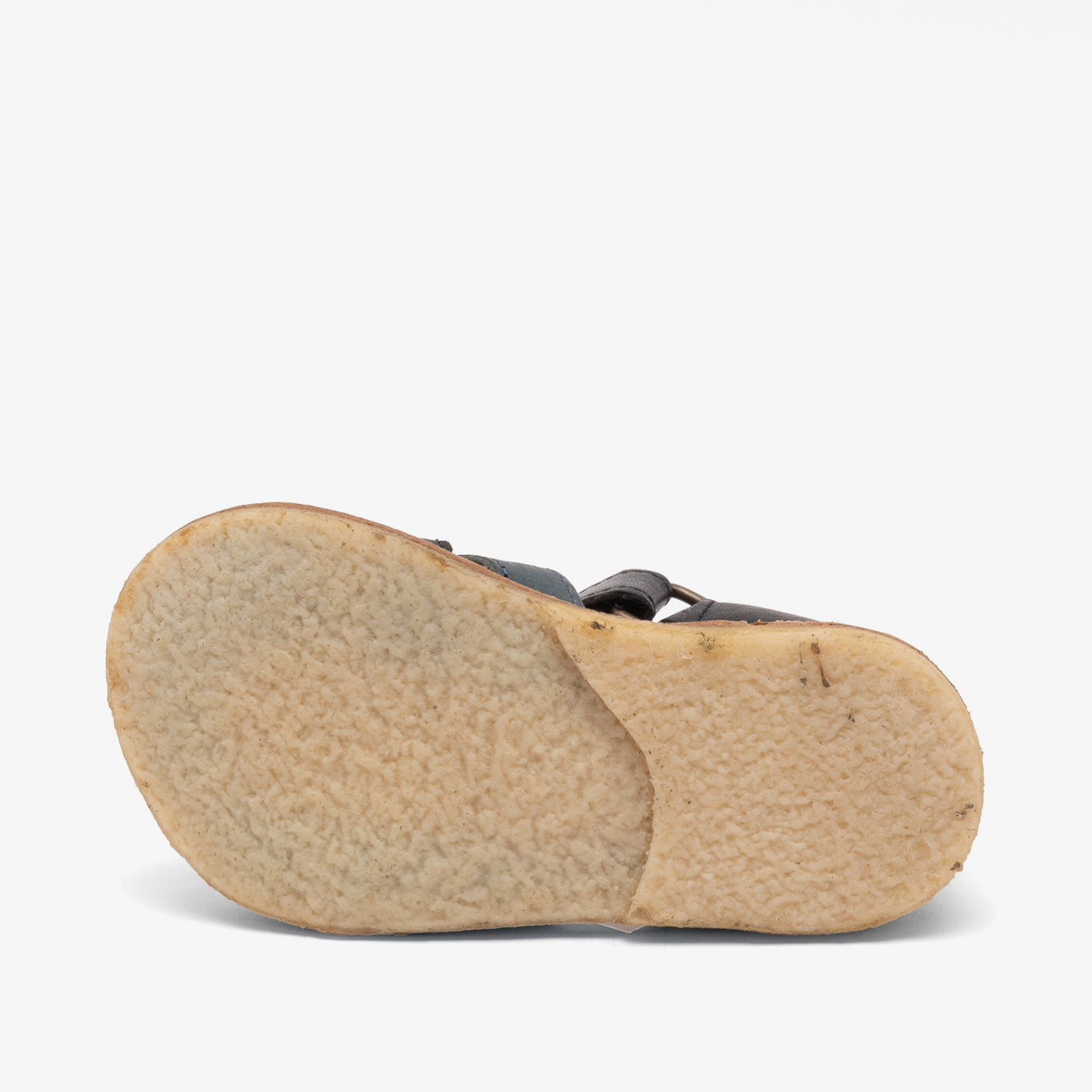 bisgaard bjørn night