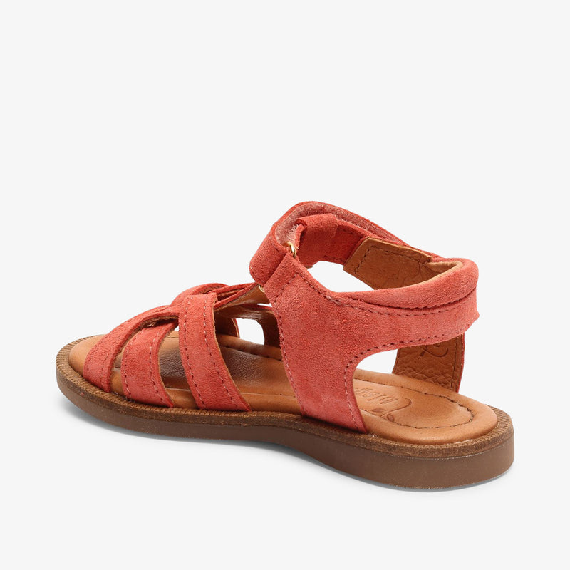 bisgaard bex s coral